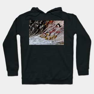 Snares Crested Penguins Hoodie